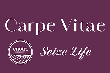 Carpe Vitae Newsletter